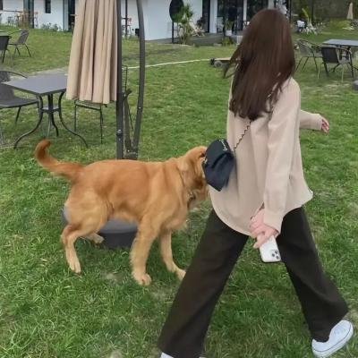 西塞奇女子